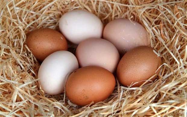 eggs_2300165b